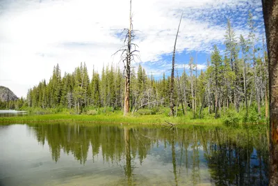 DSC_0019 (Large).JPG